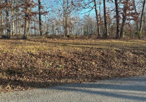 25 Wagon Creek Loop, Creal Springs, Illinois 62922, ,Land,For Sale,Wagon Creek Loop,MAR25017608