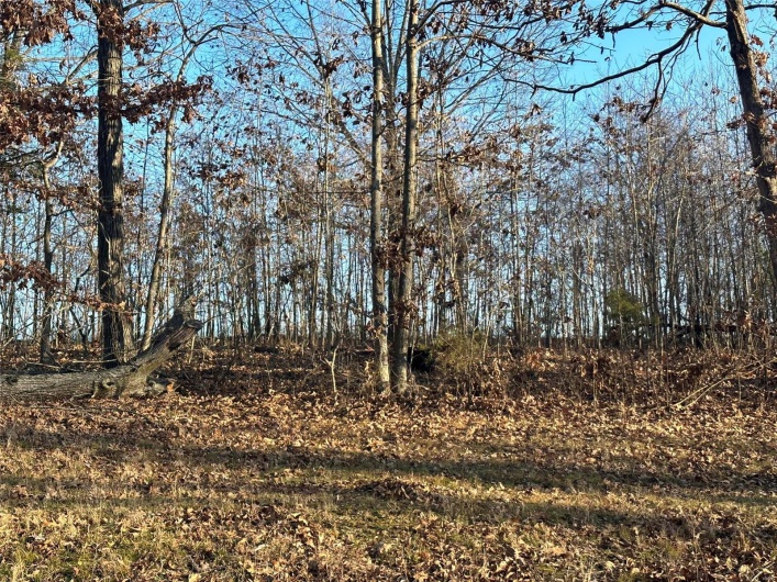 25 Wagon Creek Loop, Creal Springs, Illinois 62922, ,Land,For Sale,Wagon Creek Loop,MAR25017608
