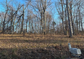 28 Wagon Creek Loop, Creal Springs, Illinois 62922, ,Land,For Sale,Wagon Creek Loop,MAR25017238