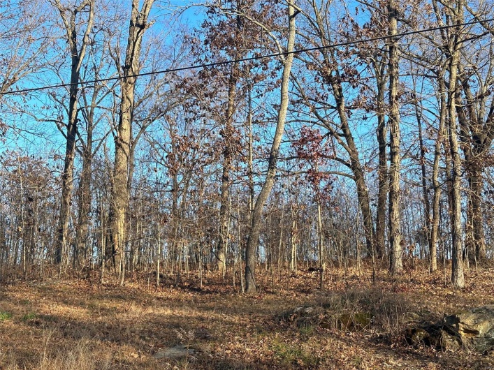 26 Wagon Creek Loop, Creal Springs, Illinois 62922, ,Land,For Sale,Wagon Creek Loop,MAR25017239