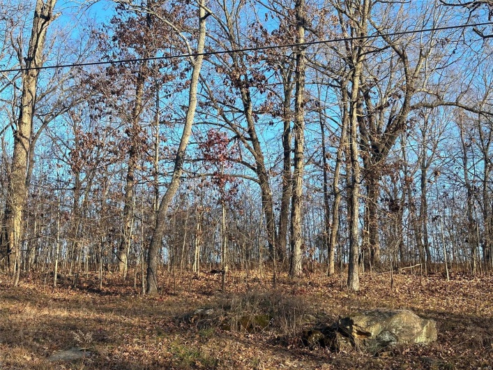 26 Wagon Creek Loop, Creal Springs, Illinois 62922, ,Land,For Sale,Wagon Creek Loop,MAR25017239