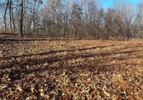 34 Wagon Creek Loop, Creal Springs, Illinois 62922, ,Land,For Sale,Wagon Creek Loop,MAR25017237