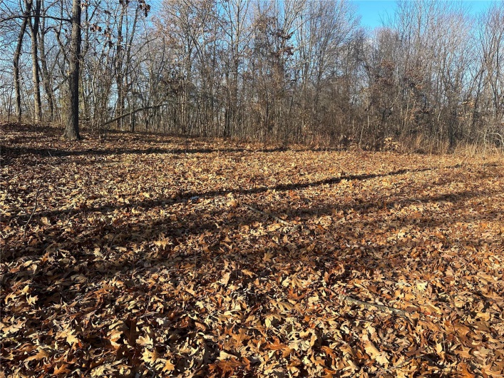 34 Wagon Creek Loop, Creal Springs, Illinois 62922, ,Land,For Sale,Wagon Creek Loop,MAR25017237