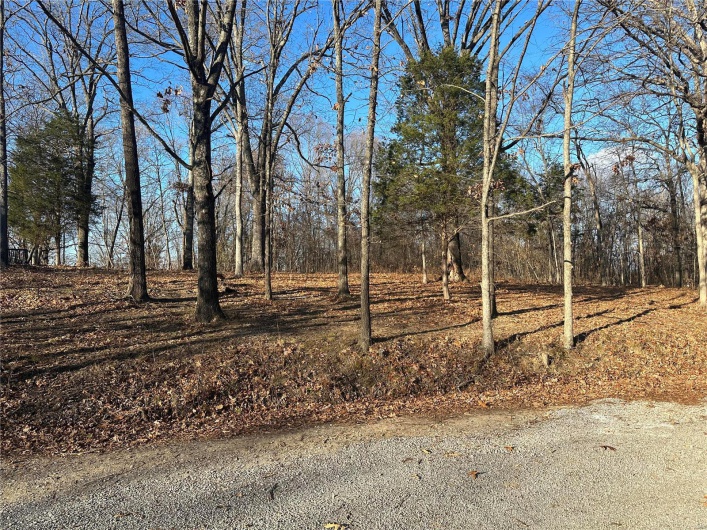 34 Wagon Creek Loop, Creal Springs, Illinois 62922, ,Land,For Sale,Wagon Creek Loop,MAR25017237