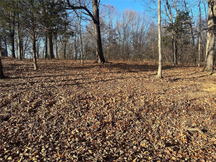 34 Wagon Creek Loop, Creal Springs, Illinois 62922, ,Land,For Sale,Wagon Creek Loop,MAR25017237