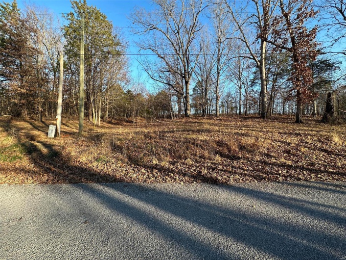 24 Wagon Creek Loop, Creal Springs, Illinois 62922, ,Land,For Sale,Wagon Creek Loop,MAR25017606