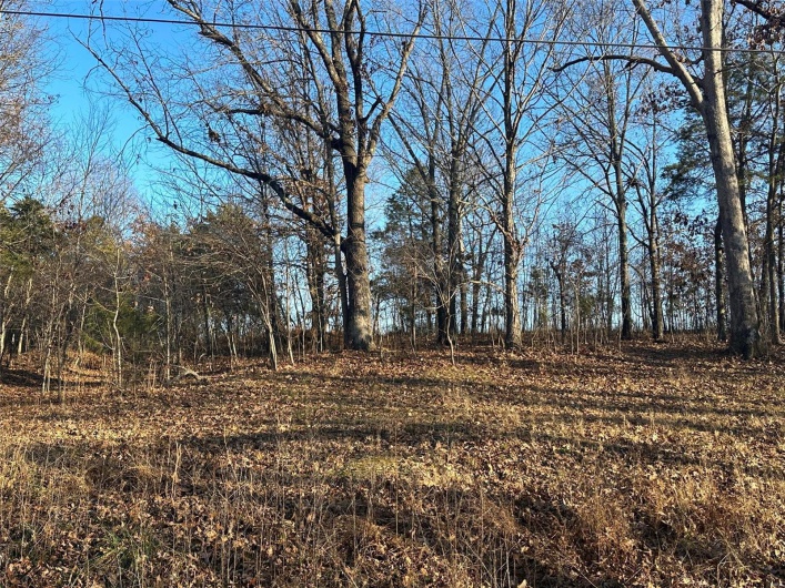 24 Wagon Creek Loop, Creal Springs, Illinois 62922, ,Land,For Sale,Wagon Creek Loop,MAR25017606