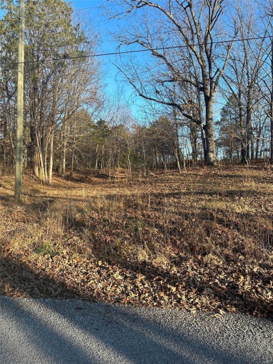 24 Wagon Creek Loop, Creal Springs, Illinois 62922, ,Land,For Sale,Wagon Creek Loop,MAR25017606