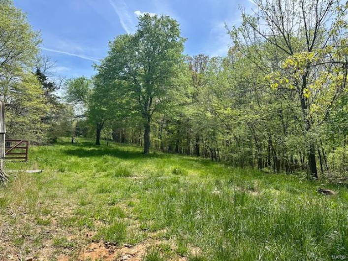 22271 State Highway CC, Marble Hill, Missouri 63764, 4 Bedrooms Bedrooms, 5 Rooms Rooms,3 BathroomsBathrooms,Residential,For Sale,State Highway CC,MAR25025522