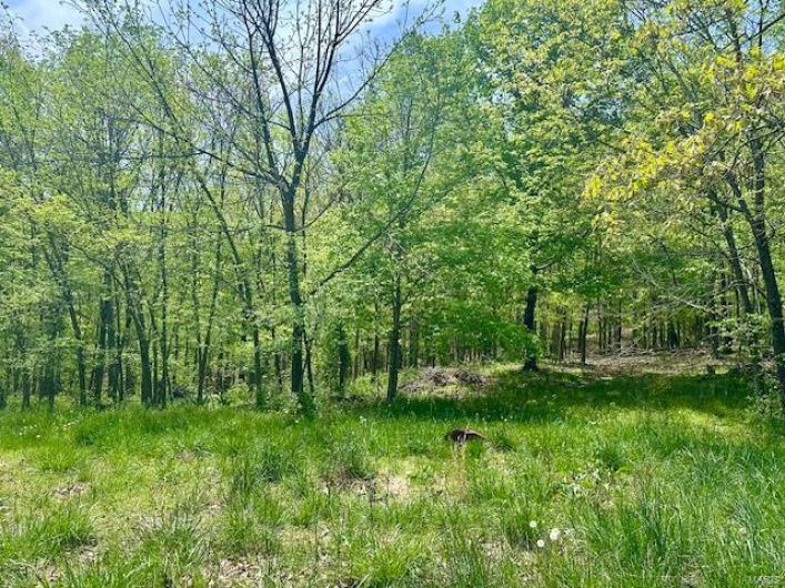 22271 State Highway CC, Marble Hill, Missouri 63764, 4 Bedrooms Bedrooms, 5 Rooms Rooms,3 BathroomsBathrooms,Residential,For Sale,State Highway CC,MAR25025522
