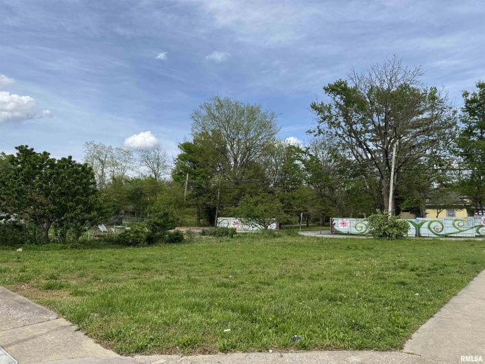201 WASHINGTON Street, Carbondale, Illinois 62901, 0 , 0 ,0,Land,For Sale,WASHINGTON,0,RMAQC4262557