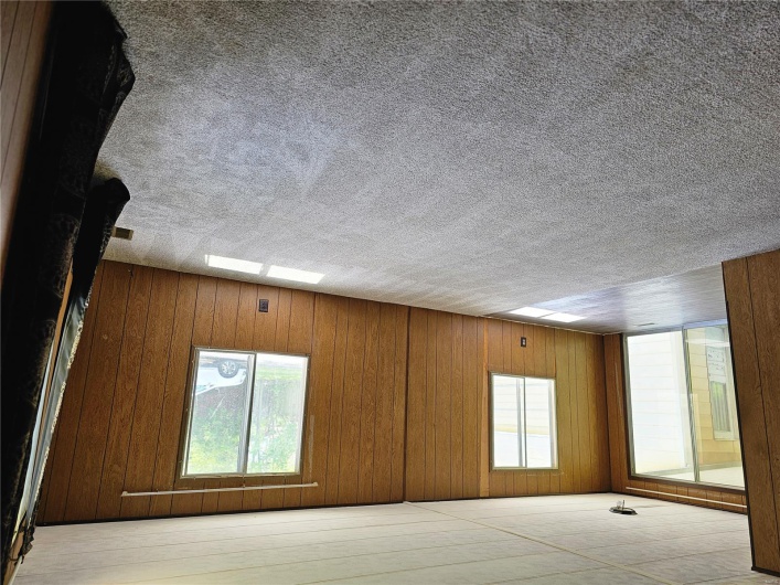 Empty room featuring wood walls, carpet flooring, and a healthy amount of sunlight
