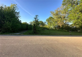 229 Kathy Lane, Poplar Bluff, Missouri 63901, ,Land,For Sale,Kathy,MAR25026727