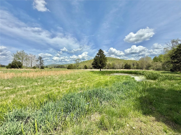 View of local wilderness featuring a rural view