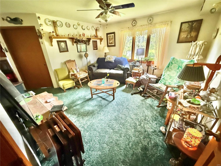 Living room featuring carpet flooring and ceiling fan