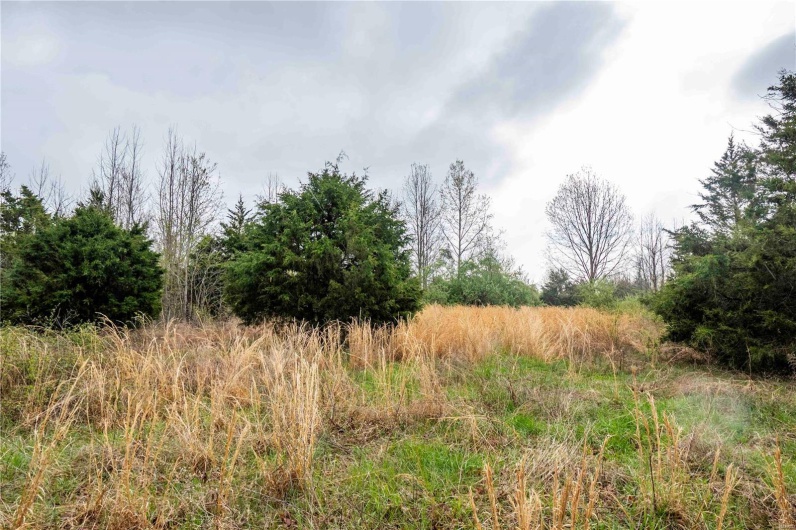 2273 Eastwood Road, Olmsted, Illinois 62970, ,Farm,For Sale,Eastwood,MAR25026742