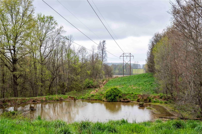 2273 Eastwood Road, Olmsted, Illinois 62970, ,Farm,For Sale,Eastwood,MAR25026742
