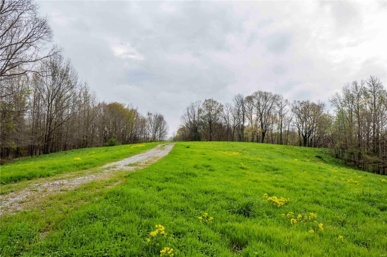 2273 Eastwood Road, Olmsted, Illinois 62970, ,Farm,For Sale,Eastwood,MAR25026742