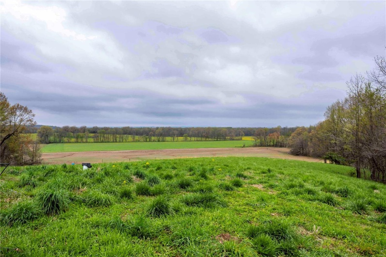 2273 Eastwood Road, Olmsted, Illinois 62970, ,Farm,For Sale,Eastwood,MAR25026742