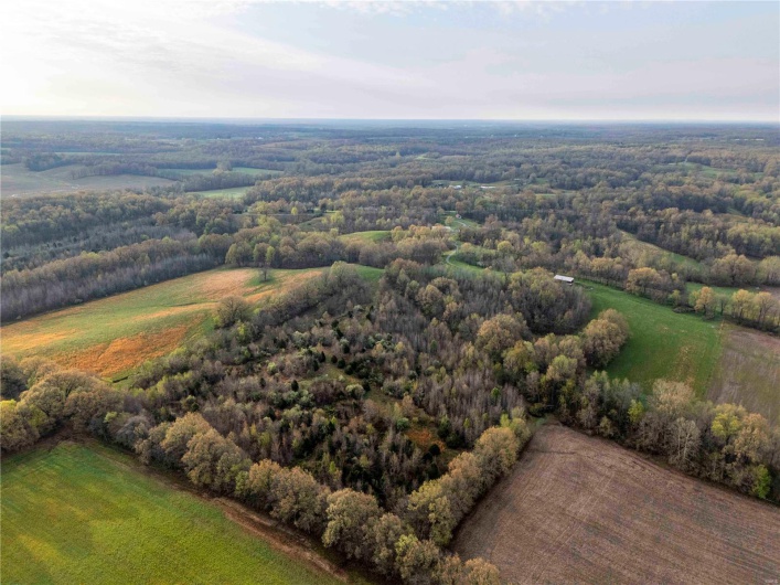 2273 Eastwood Road, Olmsted, Illinois 62970, ,Farm,For Sale,Eastwood,MAR25026742