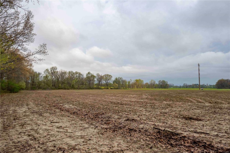 2273 Eastwood Road, Olmsted, Illinois 62970, ,Farm,For Sale,Eastwood,MAR25026742
