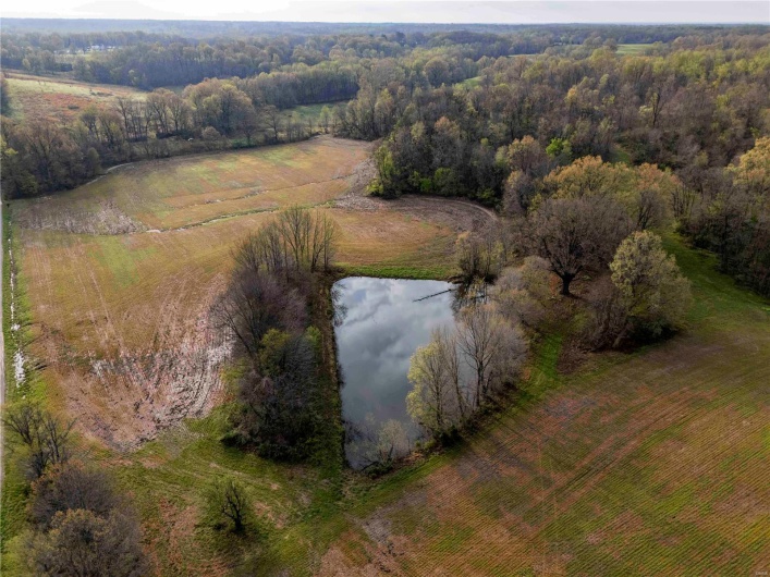 2273 Eastwood Road, Olmsted, Illinois 62970, ,Farm,For Sale,Eastwood,MAR25026742
