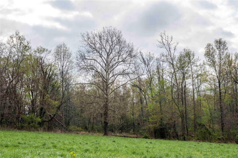 2273 Eastwood Road, Olmsted, Illinois 62970, ,Farm,For Sale,Eastwood,MAR25026742