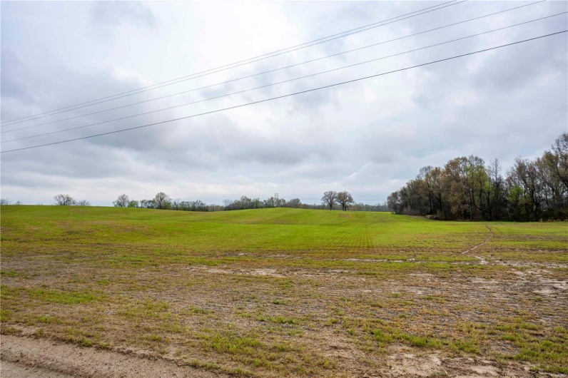 2273 Eastwood Road, Olmsted, Illinois 62970, ,Farm,For Sale,Eastwood,MAR25026742
