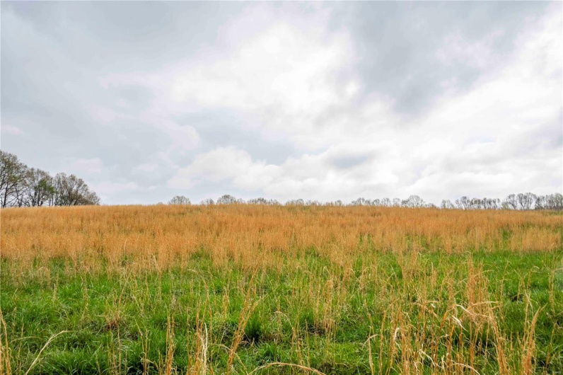 2273 Eastwood Road, Olmsted, Illinois 62970, ,Farm,For Sale,Eastwood,MAR25026742