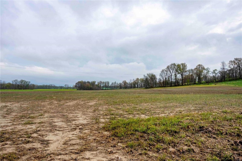 2273 Eastwood Road, Olmsted, Illinois 62970, ,Farm,For Sale,Eastwood,MAR25026742