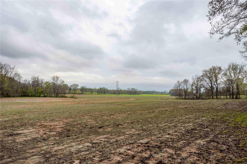 2273 Eastwood Road, Olmsted, Illinois 62970, ,Farm,For Sale,Eastwood,MAR25026742