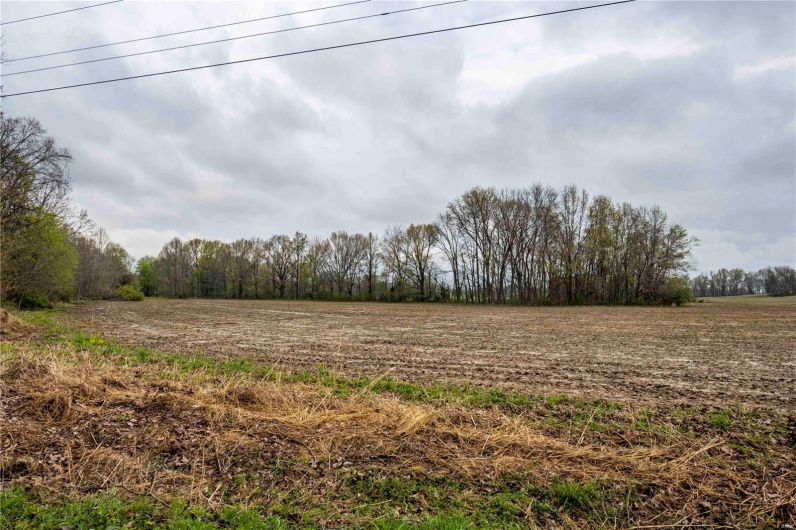 2273 Eastwood Road, Olmsted, Illinois 62970, ,Farm,For Sale,Eastwood,MAR25026742