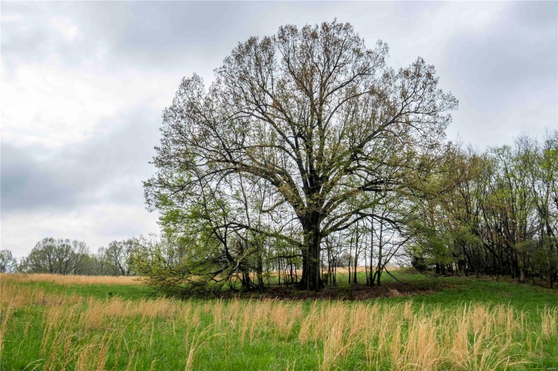 2273 Eastwood Road, Olmsted, Illinois 62970, ,Farm,For Sale,Eastwood,MAR25026742