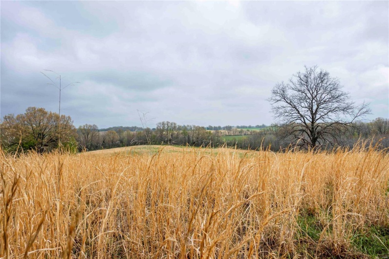 2273 Eastwood Road, Olmsted, Illinois 62970, ,Farm,For Sale,Eastwood,MAR25026742