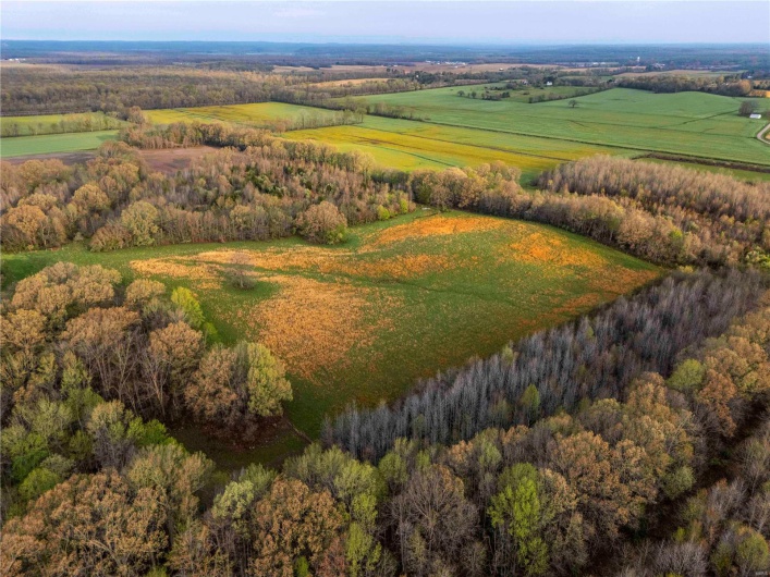 2273 Eastwood Road, Olmsted, Illinois 62970, ,Farm,For Sale,Eastwood,MAR25026742