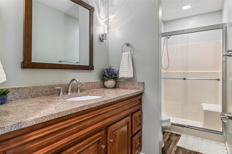 Bathroom with wood finished floors, vanity, a shower stall, and toilet
