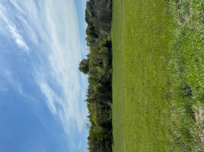 5214 Spring Valley Drive Lot 23, Farmington, Missouri 63640, ,Land,For Sale,Spring Valley Drive Lot 23,MAR25025157