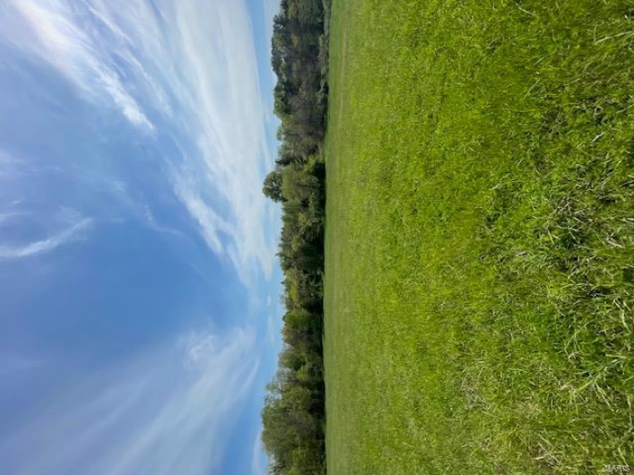 5214 Spring Valley Drive Lot 23, Farmington, Missouri 63640, ,Land,For Sale,Spring Valley Drive Lot 23,MAR25025157