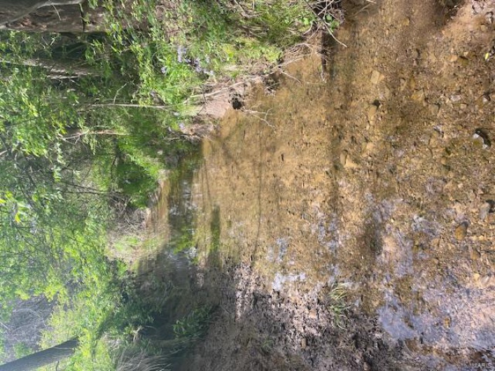 5214 Spring Valley Drive Lot 23, Farmington, Missouri 63640, ,Land,For Sale,Spring Valley Drive Lot 23,MAR25025157