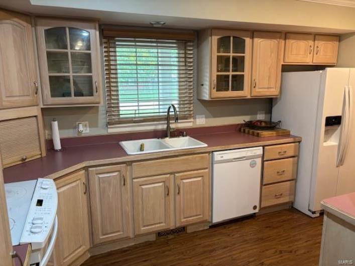 Kitchen featuring light brown cabinetry, a sink, dark wood finished floors, glass insert cabinets, and white appliances