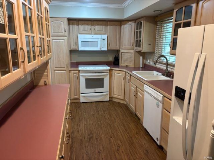 Kitchen featuring ornamental molding, a sink, dark wood-type flooring, white appliances, and glass insert cabinets