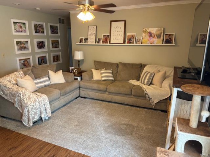 Living area with wood finished floors, visible vents, a ceiling fan, and ornamental molding