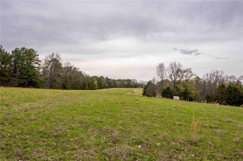 0 Miller Switch Road, Ste Genevieve, Missouri 63670, 3 Bedrooms Bedrooms, 6 Rooms Rooms,2 BathroomsBathrooms,Farm,For Sale,Miller Switch,MAR25026918