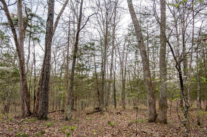 0 Miller Switch Road, Ste Genevieve, Missouri 63670, 3 Bedrooms Bedrooms, 6 Rooms Rooms,2 BathroomsBathrooms,Farm,For Sale,Miller Switch,MAR25026918