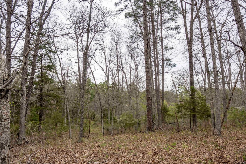 0 Miller Switch Road, Ste Genevieve, Missouri 63670, 3 Bedrooms Bedrooms, 6 Rooms Rooms,2 BathroomsBathrooms,Farm,For Sale,Miller Switch,MAR25026918