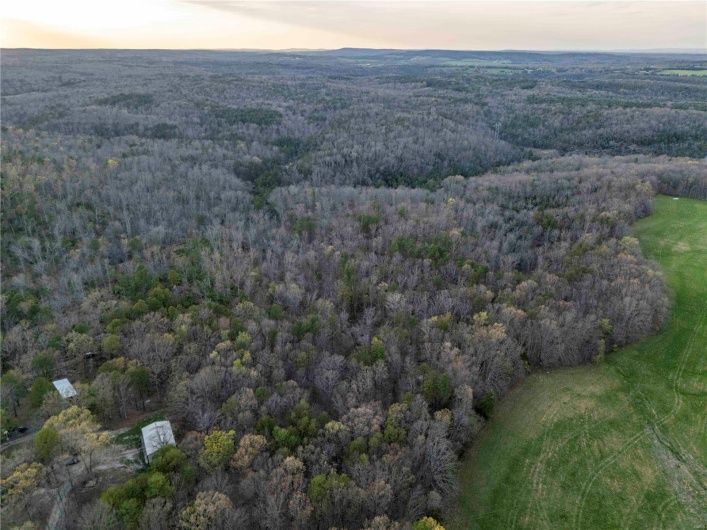 0 Miller Switch Road, Ste Genevieve, Missouri 63670, 3 Bedrooms Bedrooms, 6 Rooms Rooms,2 BathroomsBathrooms,Farm,For Sale,Miller Switch,MAR25026918