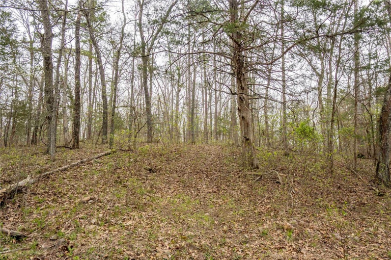0 Miller Switch Road, Ste Genevieve, Missouri 63670, 3 Bedrooms Bedrooms, 6 Rooms Rooms,2 BathroomsBathrooms,Farm,For Sale,Miller Switch,MAR25026918