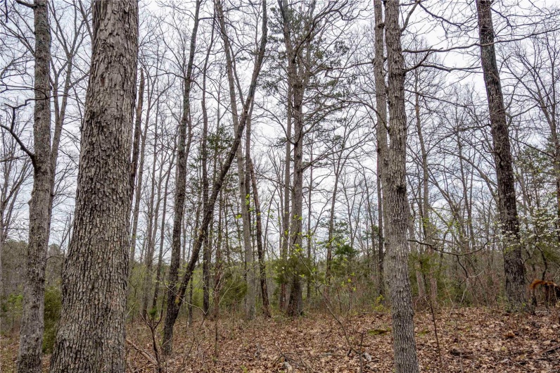 0 Miller Switch Road, Ste Genevieve, Missouri 63670, 3 Bedrooms Bedrooms, 6 Rooms Rooms,2 BathroomsBathrooms,Farm,For Sale,Miller Switch,MAR25026918