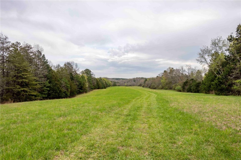 0 Miller Switch Road, Ste Genevieve, Missouri 63670, 3 Bedrooms Bedrooms, 6 Rooms Rooms,2 BathroomsBathrooms,Farm,For Sale,Miller Switch,MAR25026918