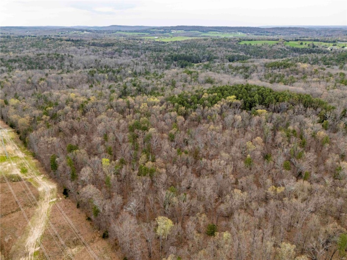 0 Miller Switch Road, Ste Genevieve, Missouri 63670, 3 Bedrooms Bedrooms, 6 Rooms Rooms,2 BathroomsBathrooms,Farm,For Sale,Miller Switch,MAR25026918